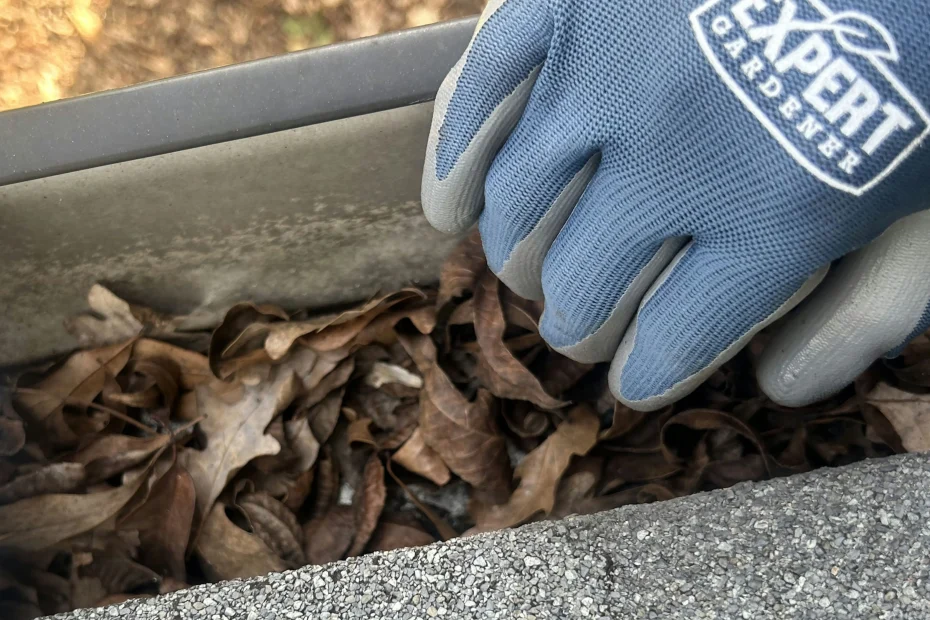 Gutter Cleaning University City