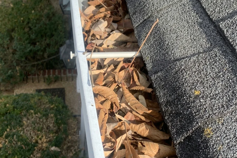 Gutter Cleaning University City