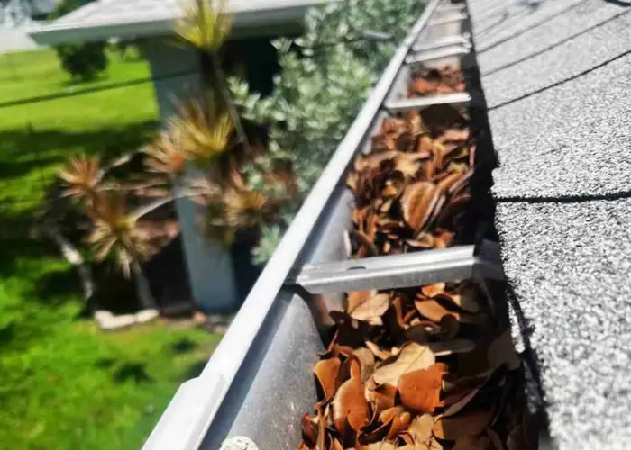 Gutter Cleaning University City home page